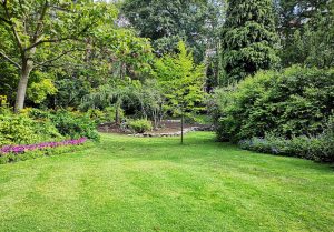 Optimiser l'expérience du jardin à Boisbergues
